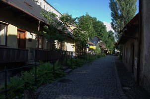 00713033.jpg